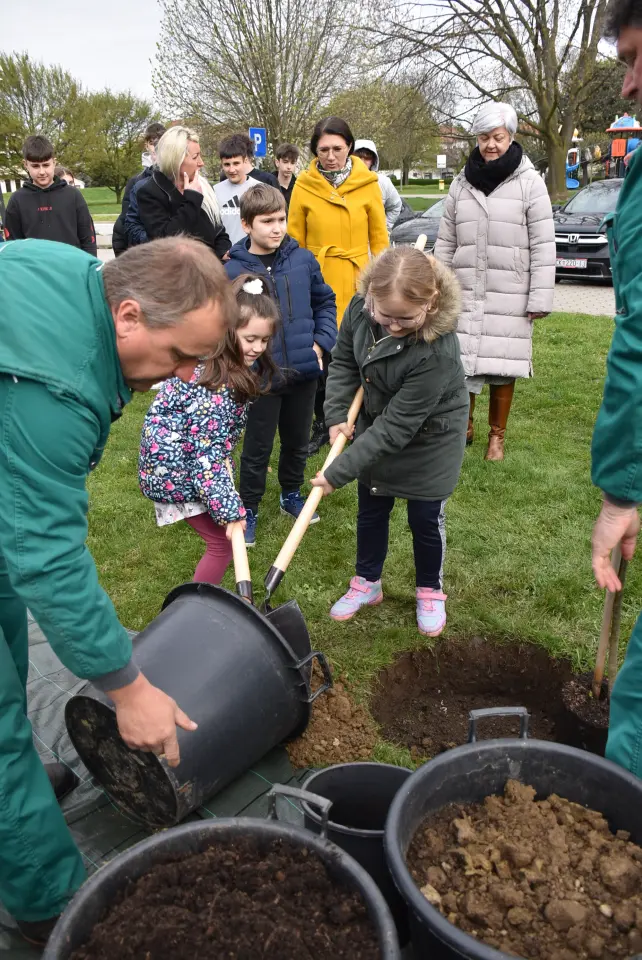 Gupčeva lipa, Čakovec, 2. osnovna (10)