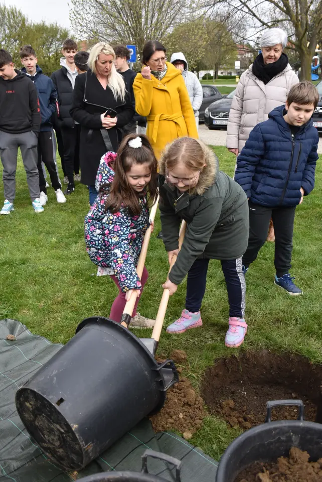 Gupčeva lipa, Čakovec, 2. osnovna (11)