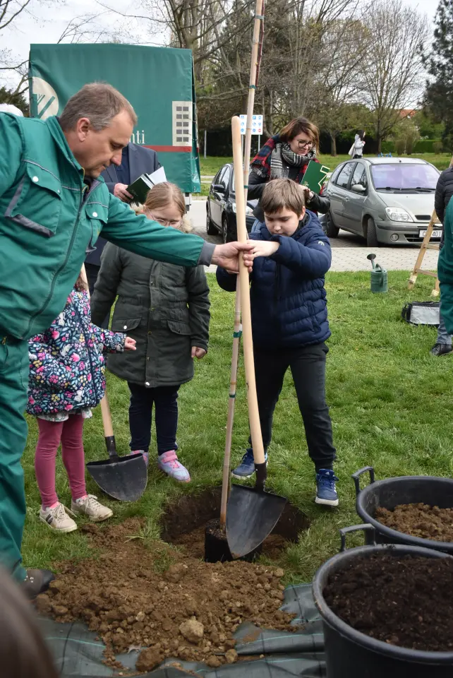 Gupčeva lipa, Čakovec, 2. osnovna (13)