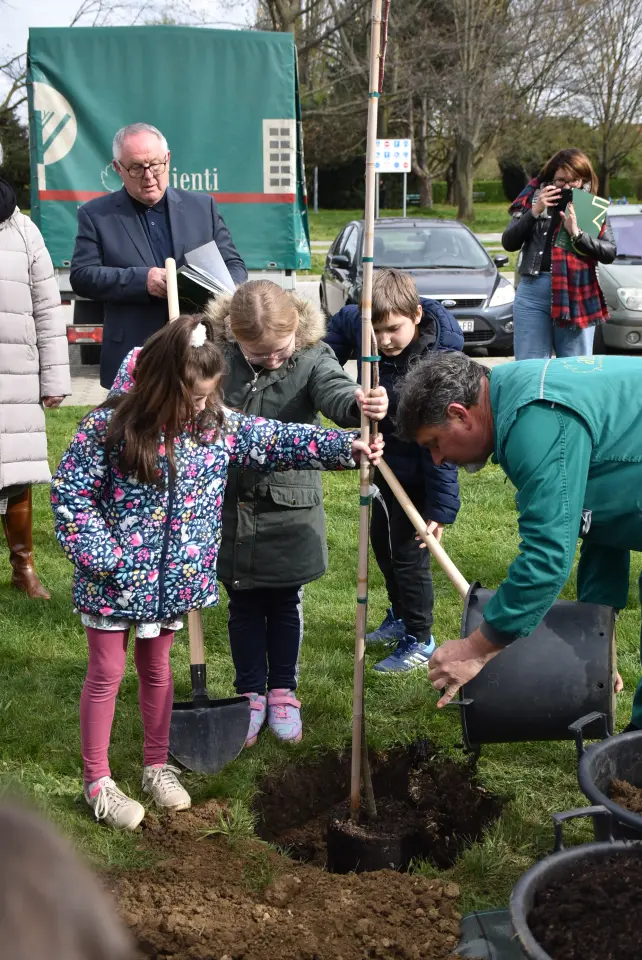 Gupčeva lipa, Čakovec, 2. osnovna (14)