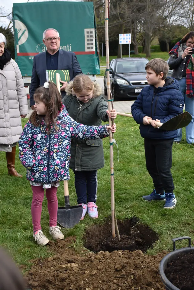 Gupčeva lipa, Čakovec, 2. osnovna (15)