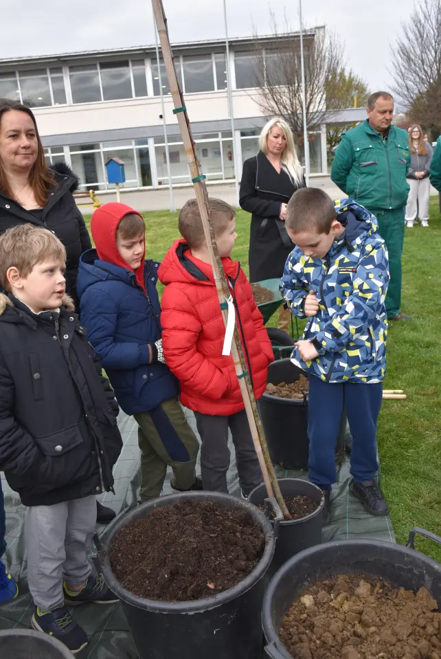 Gupčeva lipa, Čakovec, 2. osnovna (9)