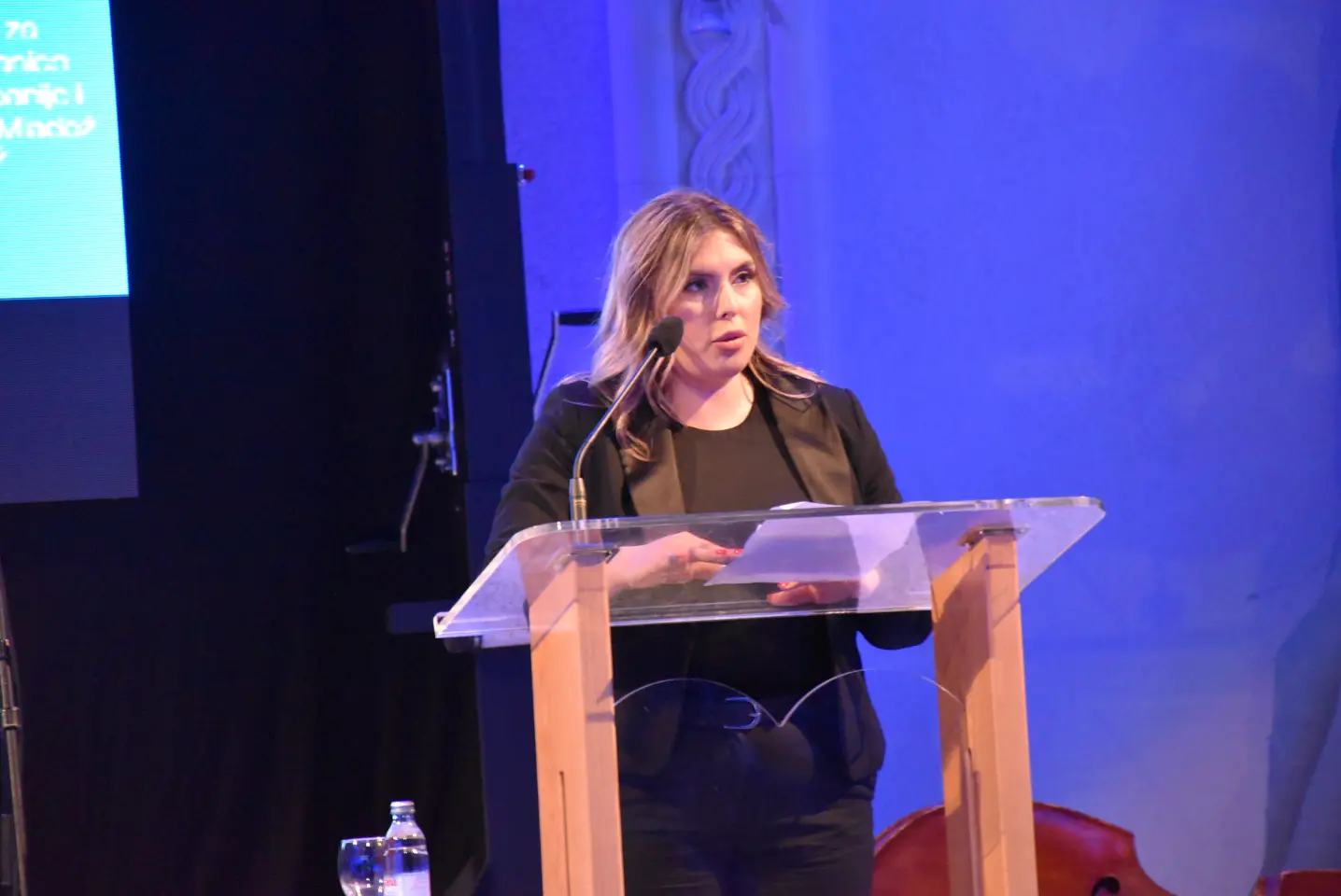 HDZ, 35 godina (16) simona srnec