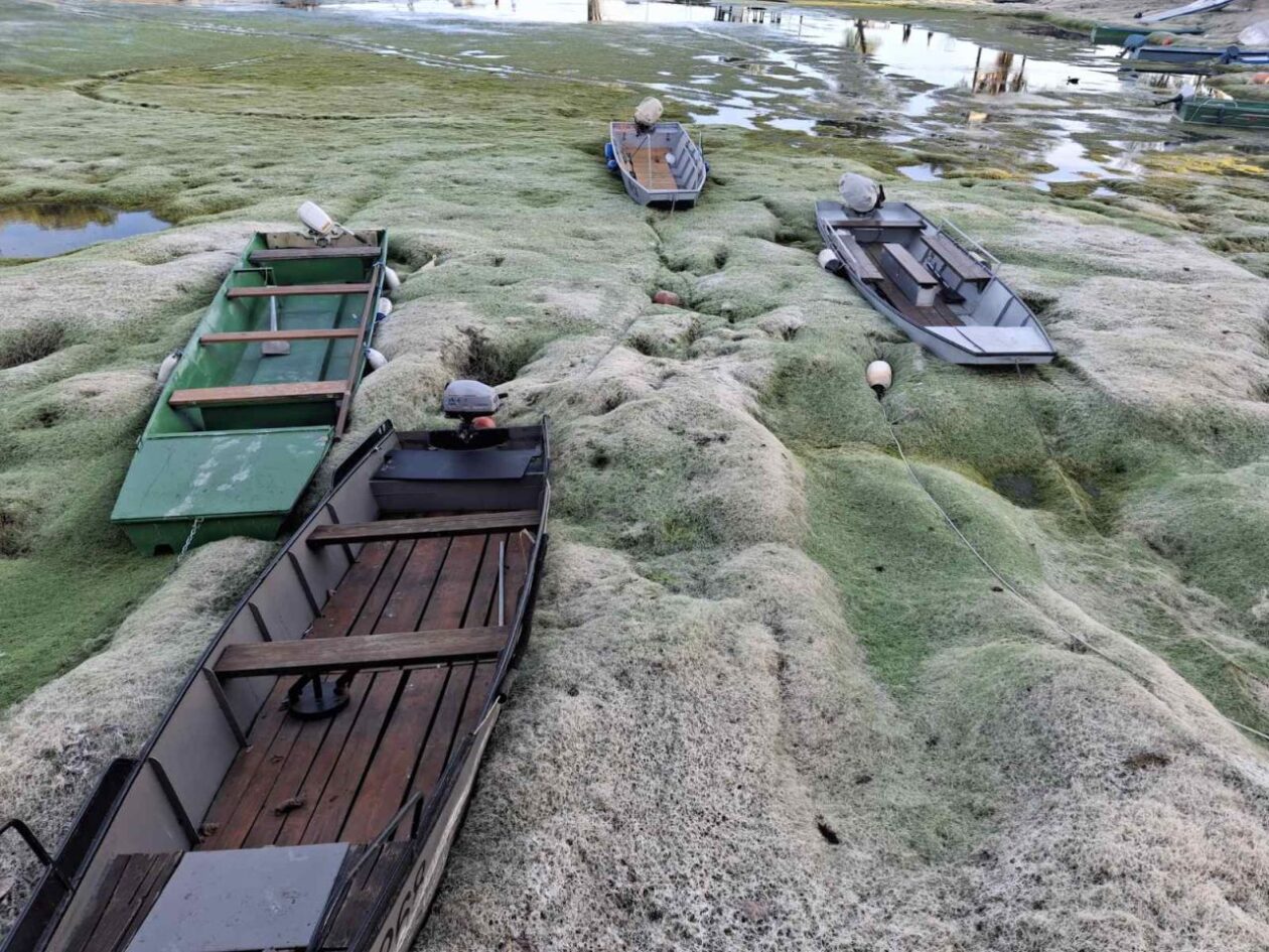 HE Dubrava Prelog vodostaj – čišćenje (10)