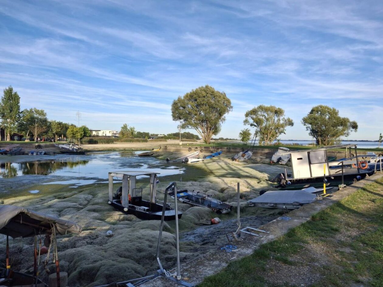 HE Dubrava Prelog vodostaj – čišćenje (12)