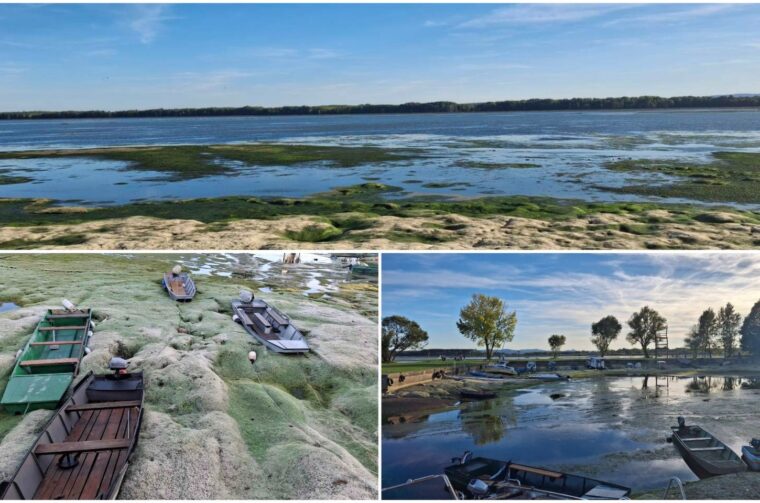 HE Dubrava Prelog vodostaj – čišćenje (13)