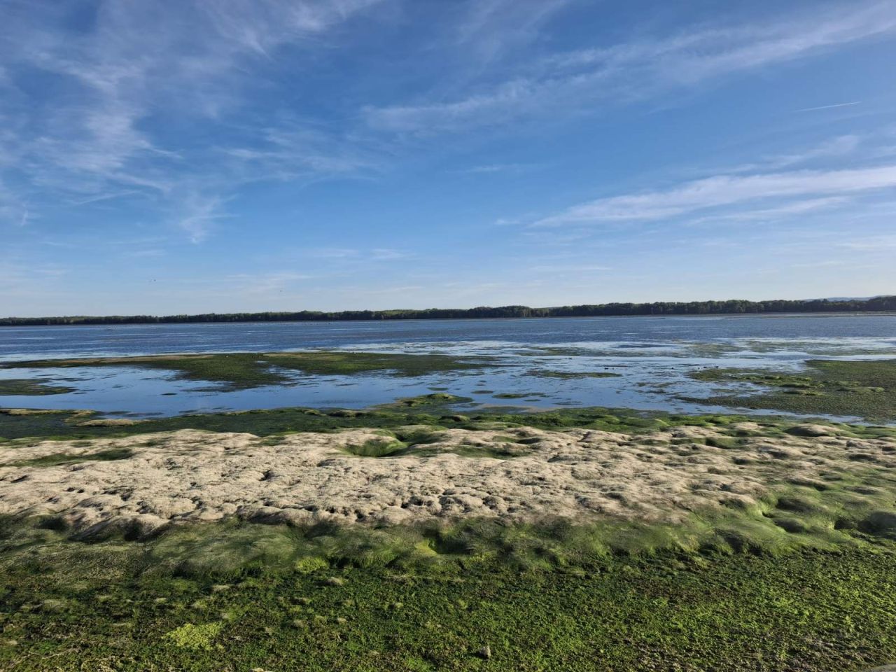HE Dubrava Prelog vodostaj – čišćenje (14) HE Dubrava Prelog vodostaj – čišćenje (14)