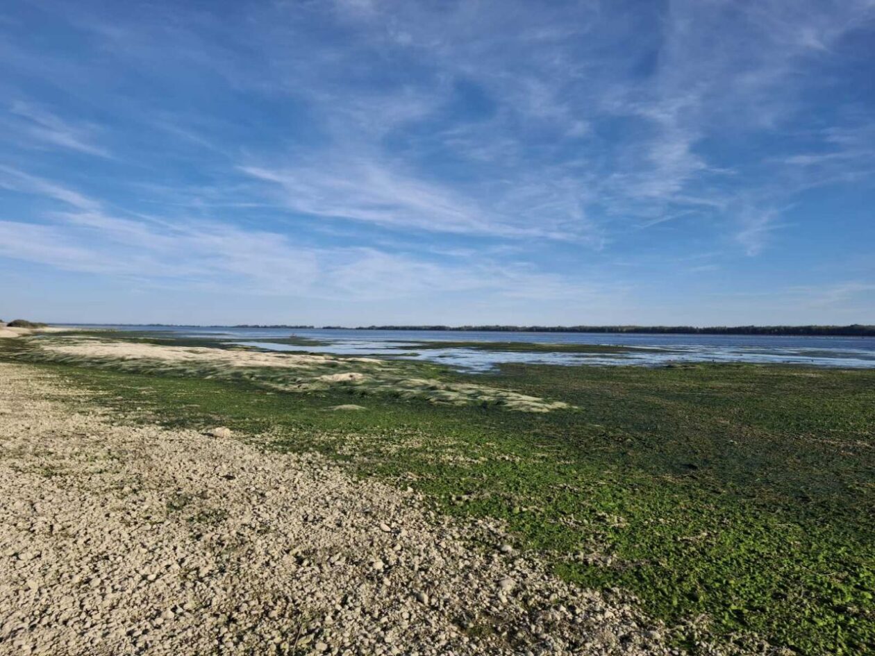 HE Dubrava Prelog vodostaj – čišćenje (15)