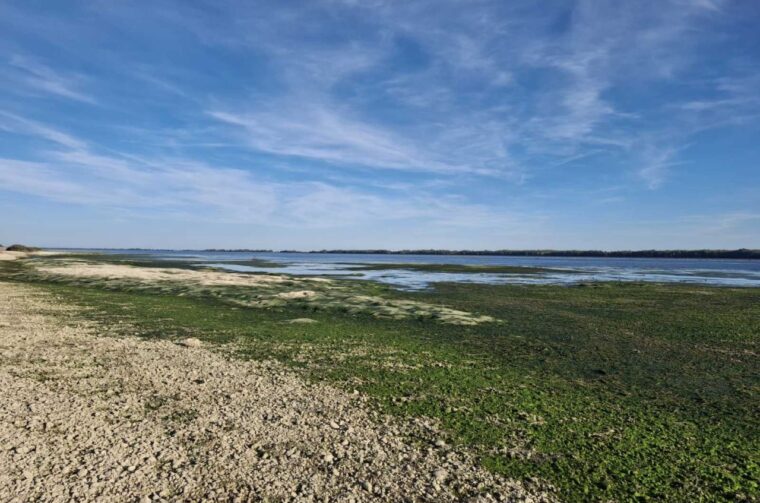 HE Dubrava Prelog vodostaj – čišćenje (15)