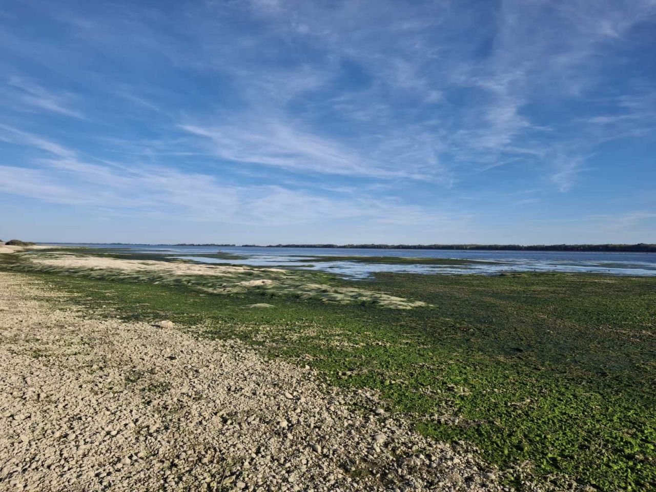 HE Dubrava Prelog vodostaj – čišćenje (15) HE Dubrava Prelog vodostaj – čišćenje (15)