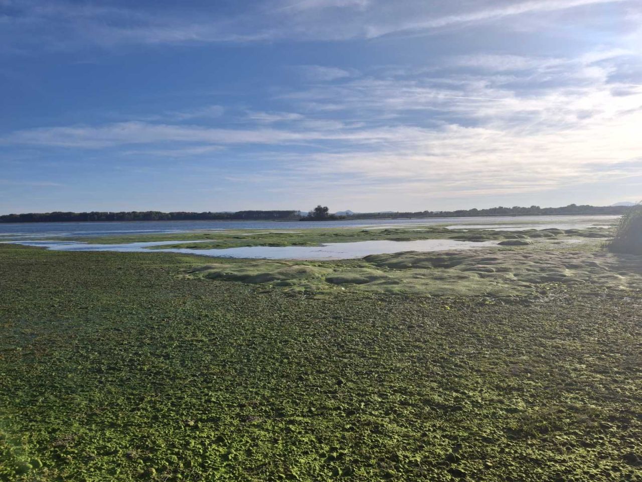 HE Dubrava Prelog vodostaj – čišćenje (2) HE Dubrava Prelog vodostaj – čišćenje (2)