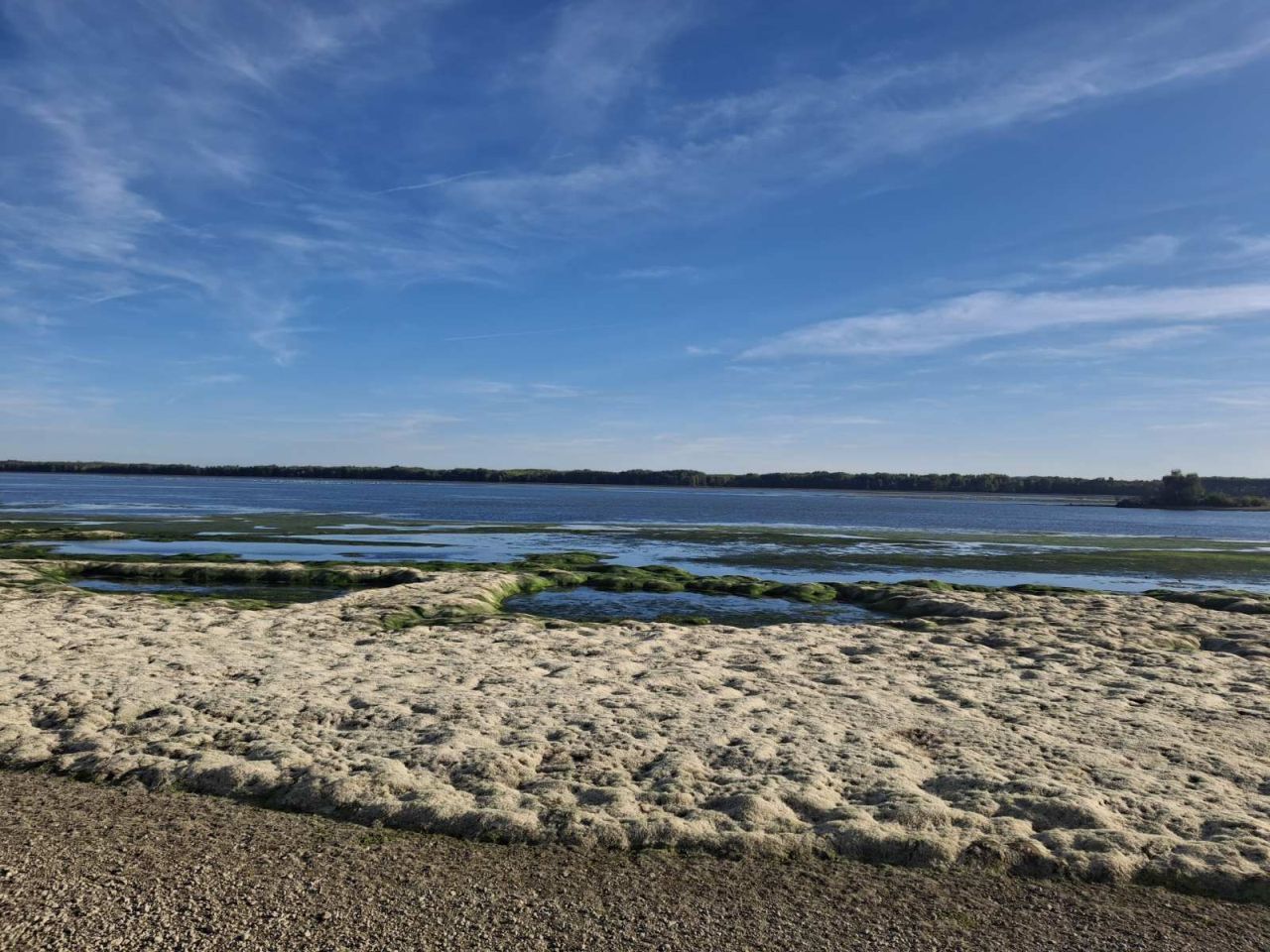 HE Dubrava Prelog vodostaj – čišćenje (5) HE Dubrava Prelog vodostaj – čišćenje (5)