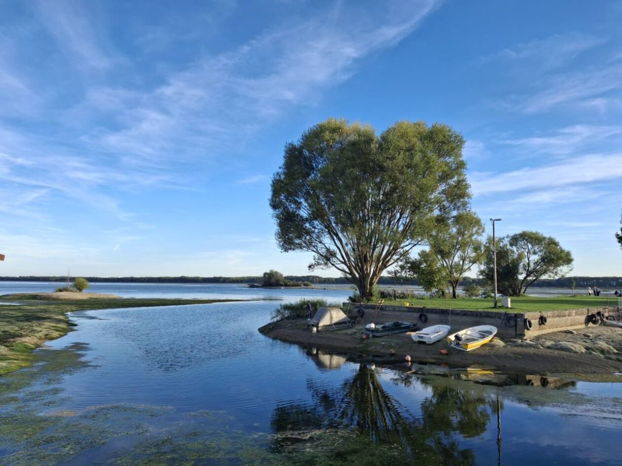 HE Dubrava Prelog vodostaj – čišćenje (6)