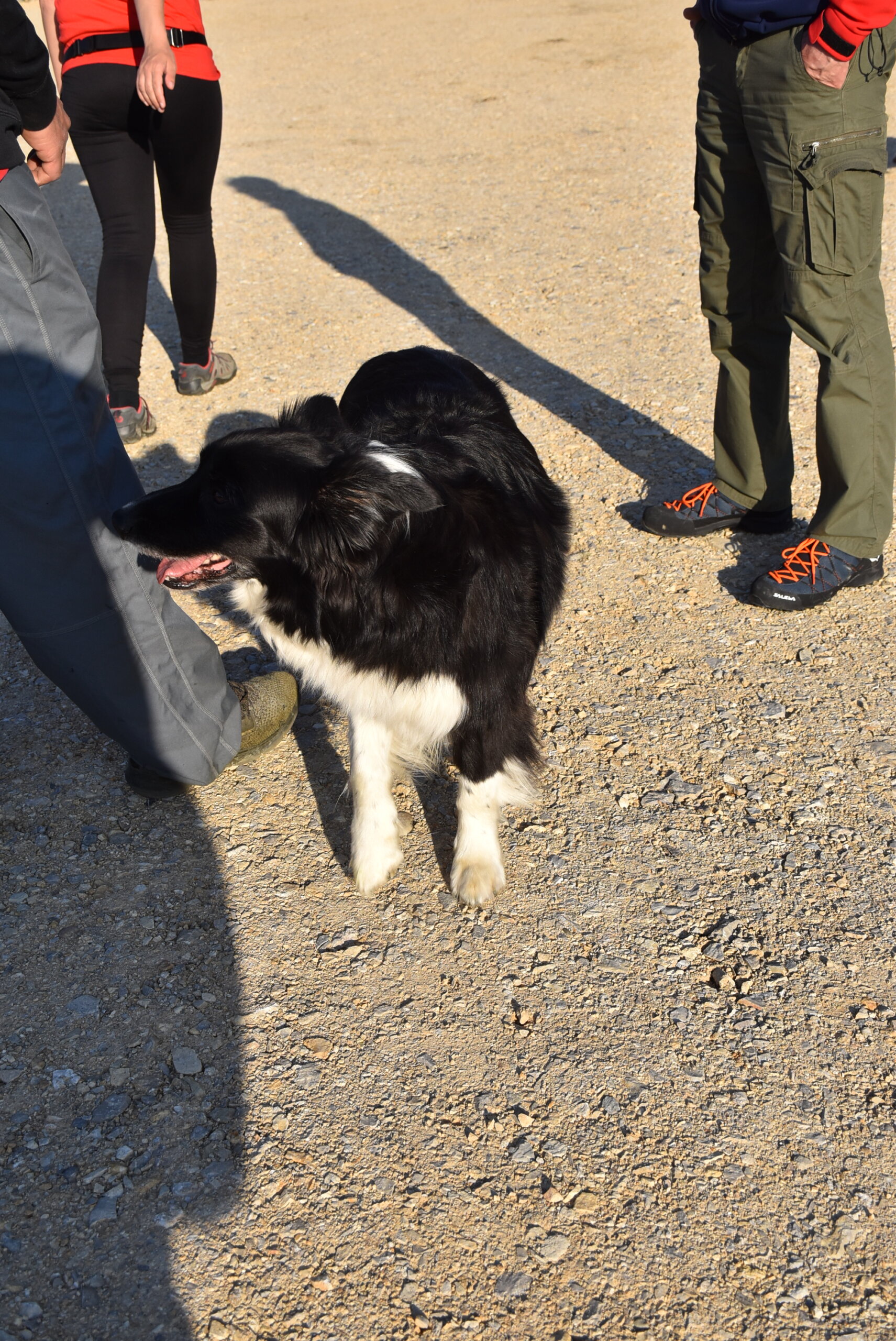 HGSS, pas, Čakovec (2)