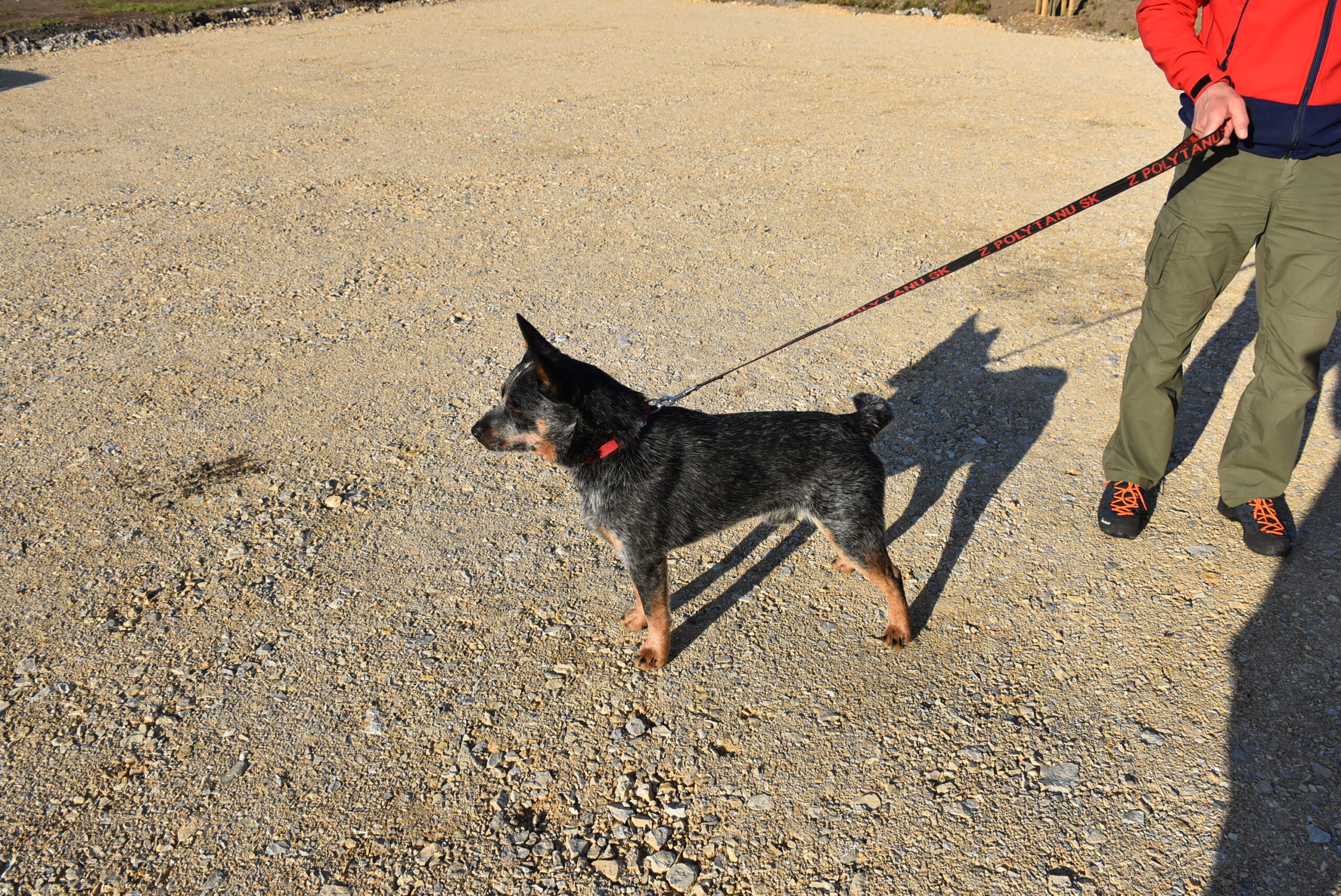 HGSS, pas, Čakovec (3)