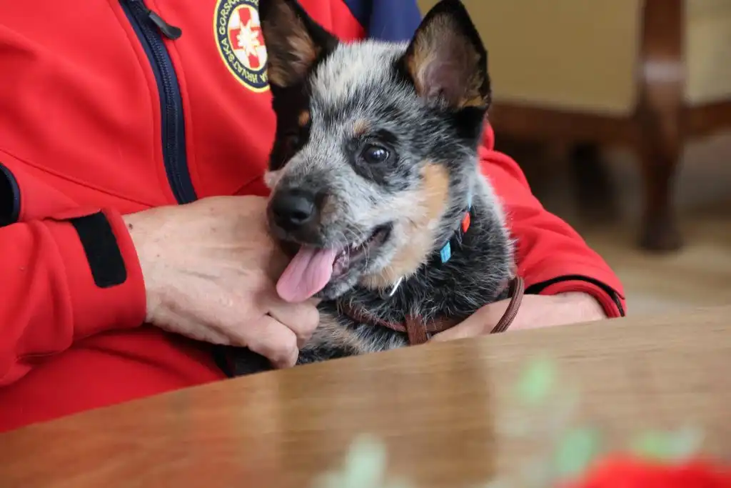 HGSS-u-iz-Cakovca-stigla-nova-snaga-uz-podrsku-Medimurske-zupanije-5-1024×683