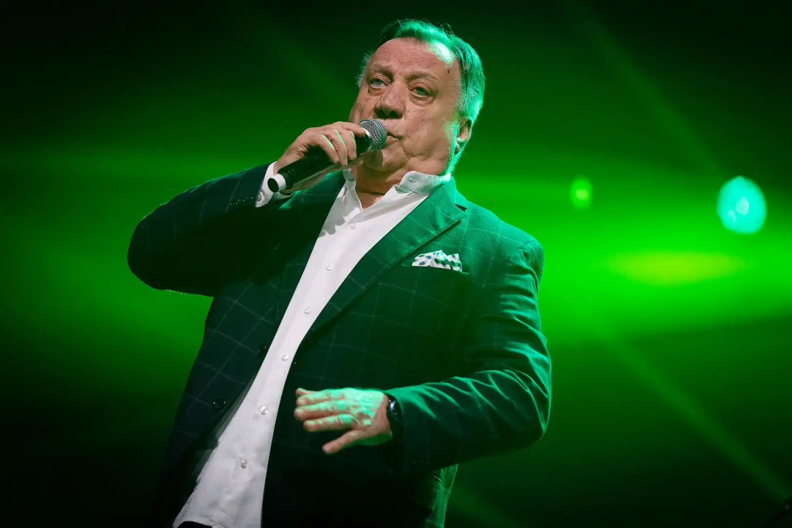 Halid Bešlić, Arena (6)