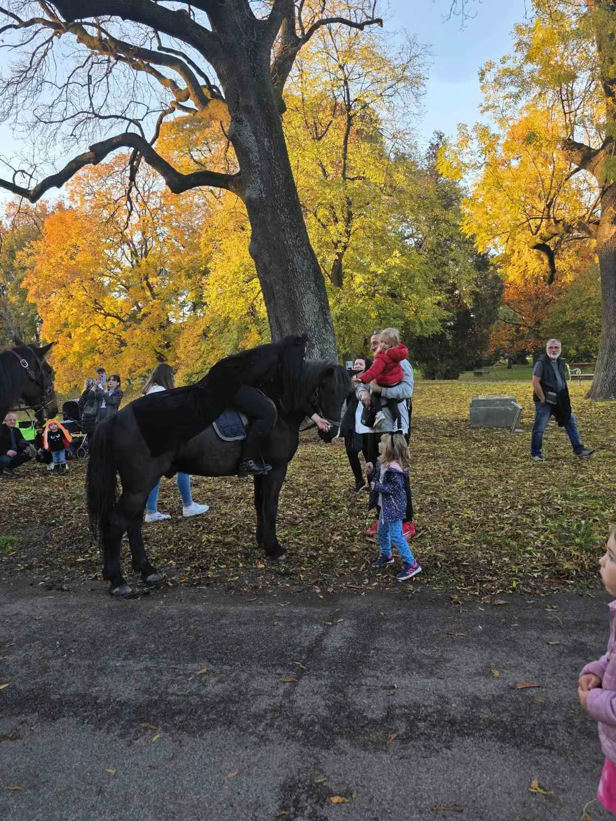 Halloween čakovec (10) Halloween čakovec (10)