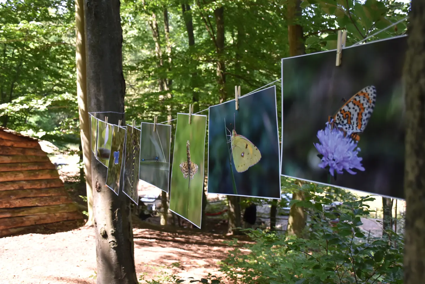 Handpan festival (34)