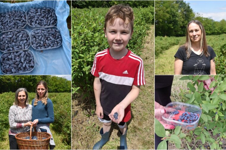 Haskap naslovna Prelog Čonkaš