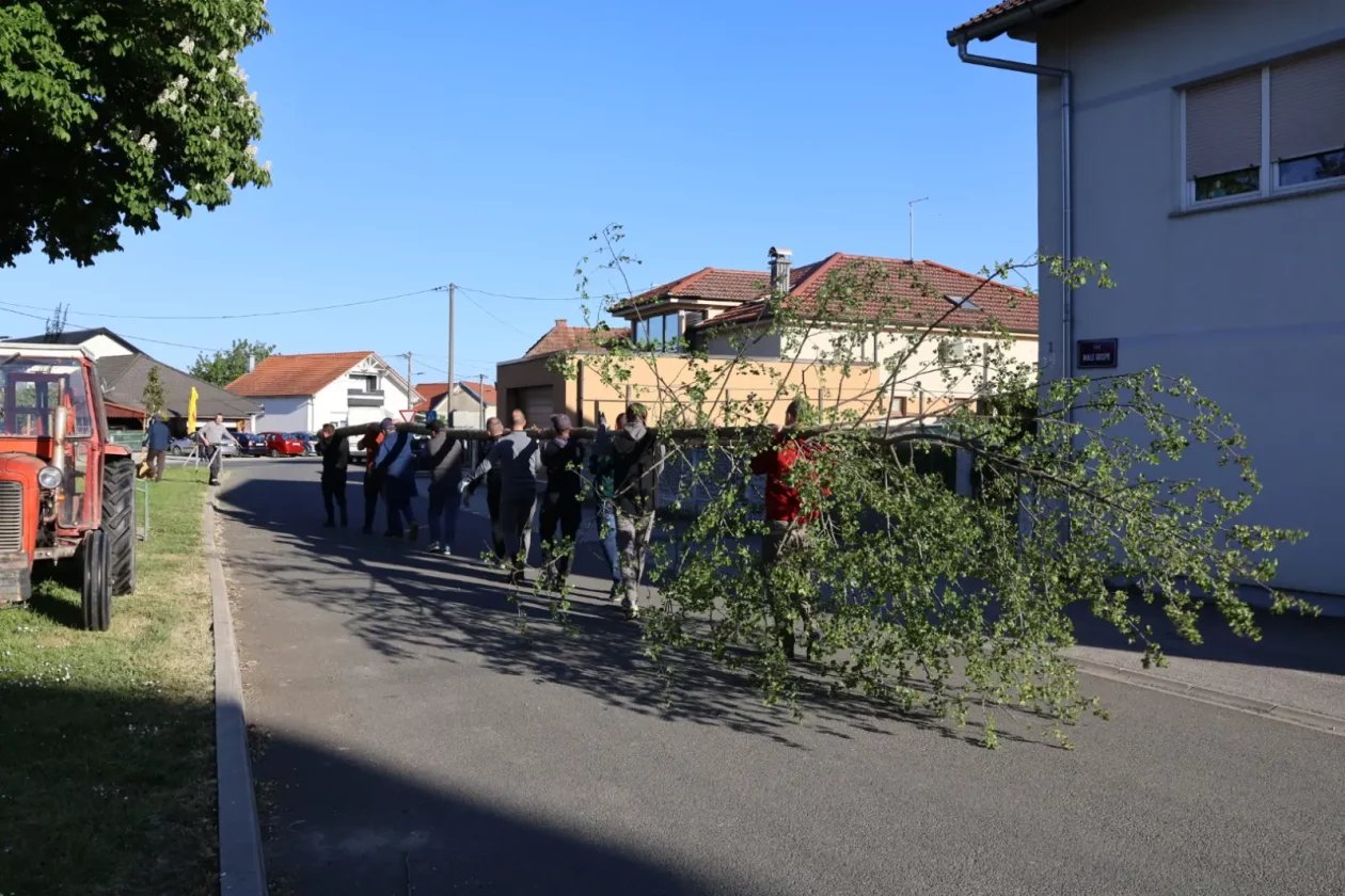 Hemuševec majga 2026 (11)