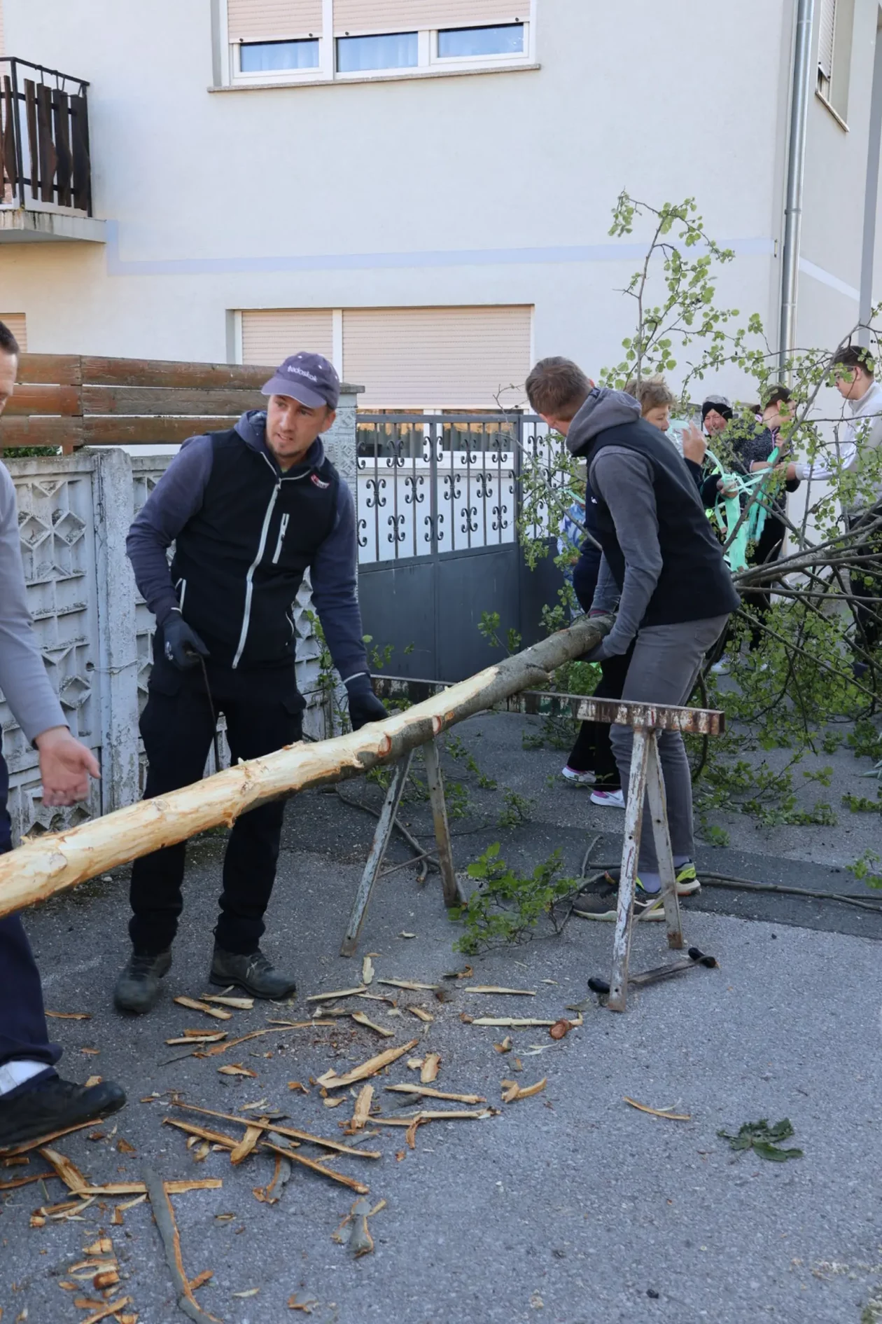 Hemuševec majga 2026 (16)