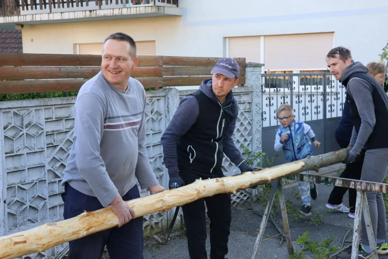 Hemuševec majga 2026 (17)