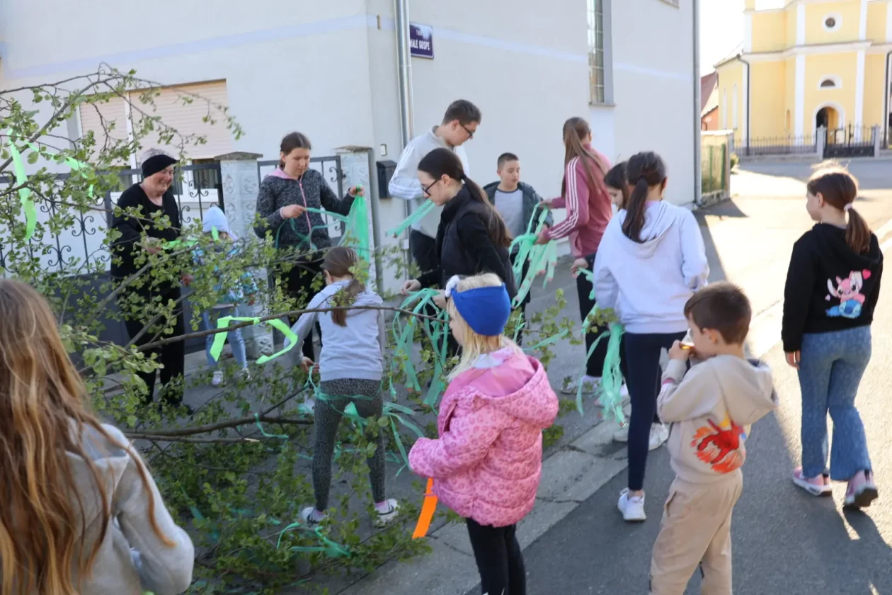 Hemuševec majga 2026 (18)