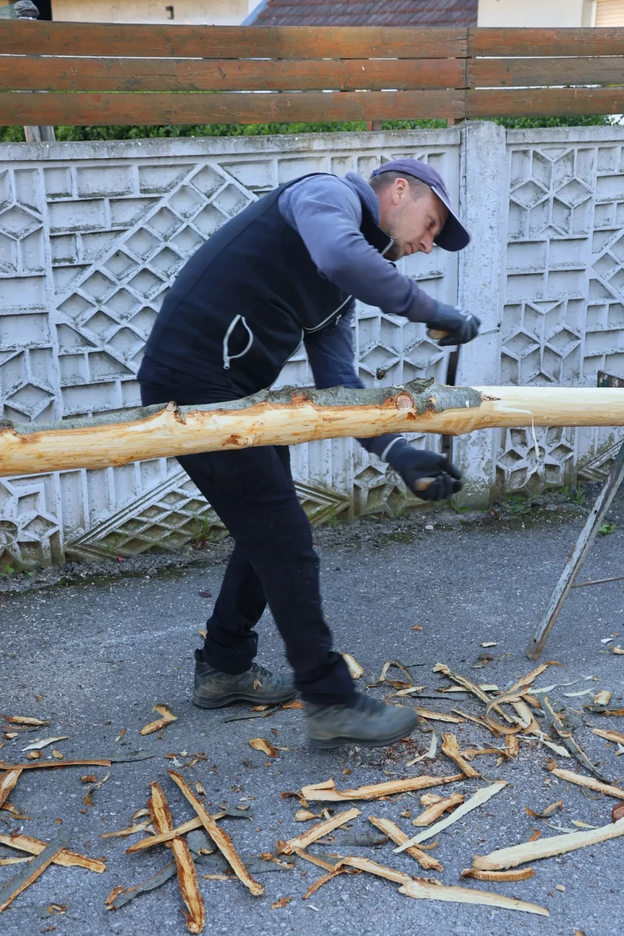 Hemuševec majga 2026 (22)