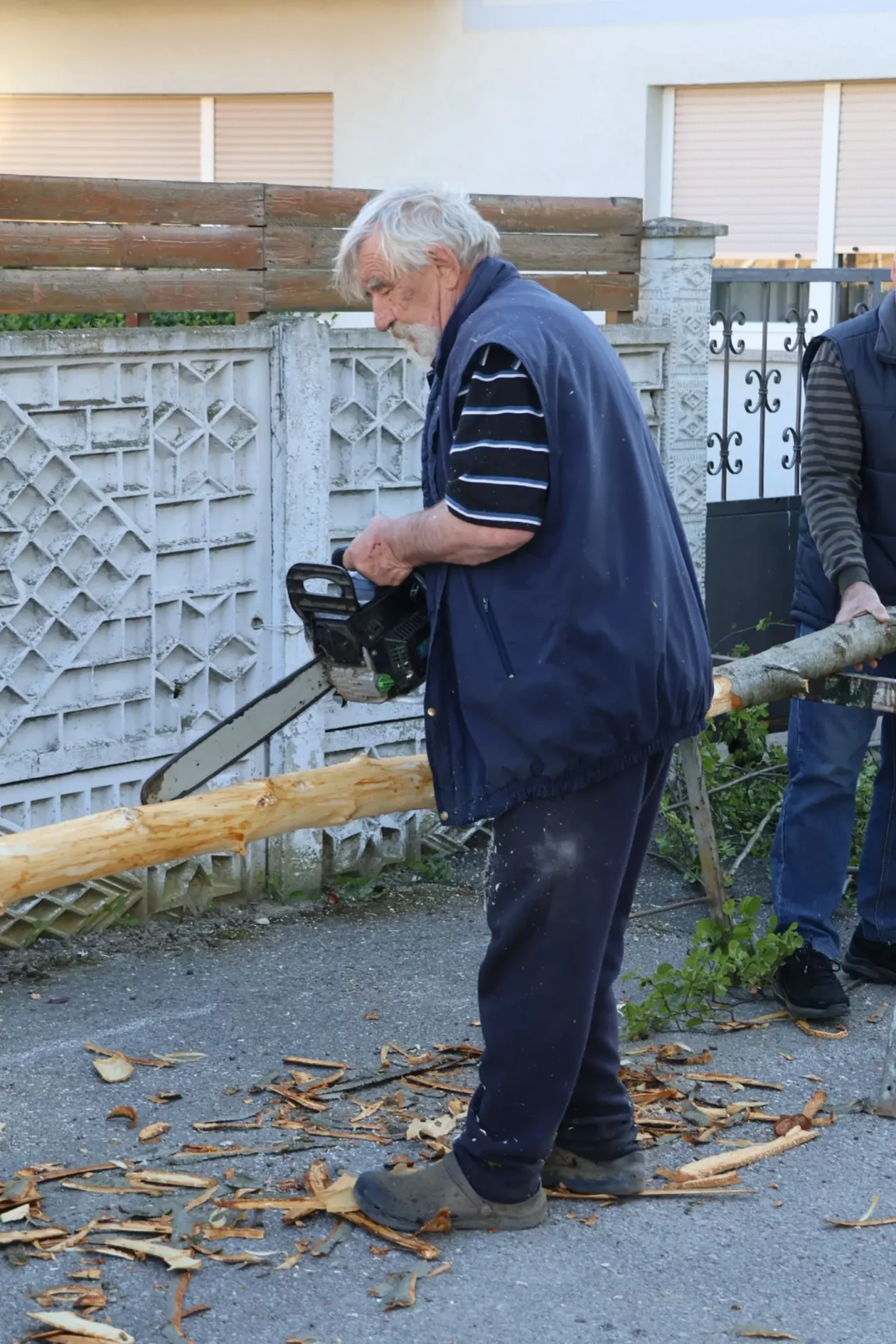 Hemuševec majga 2026 (24)