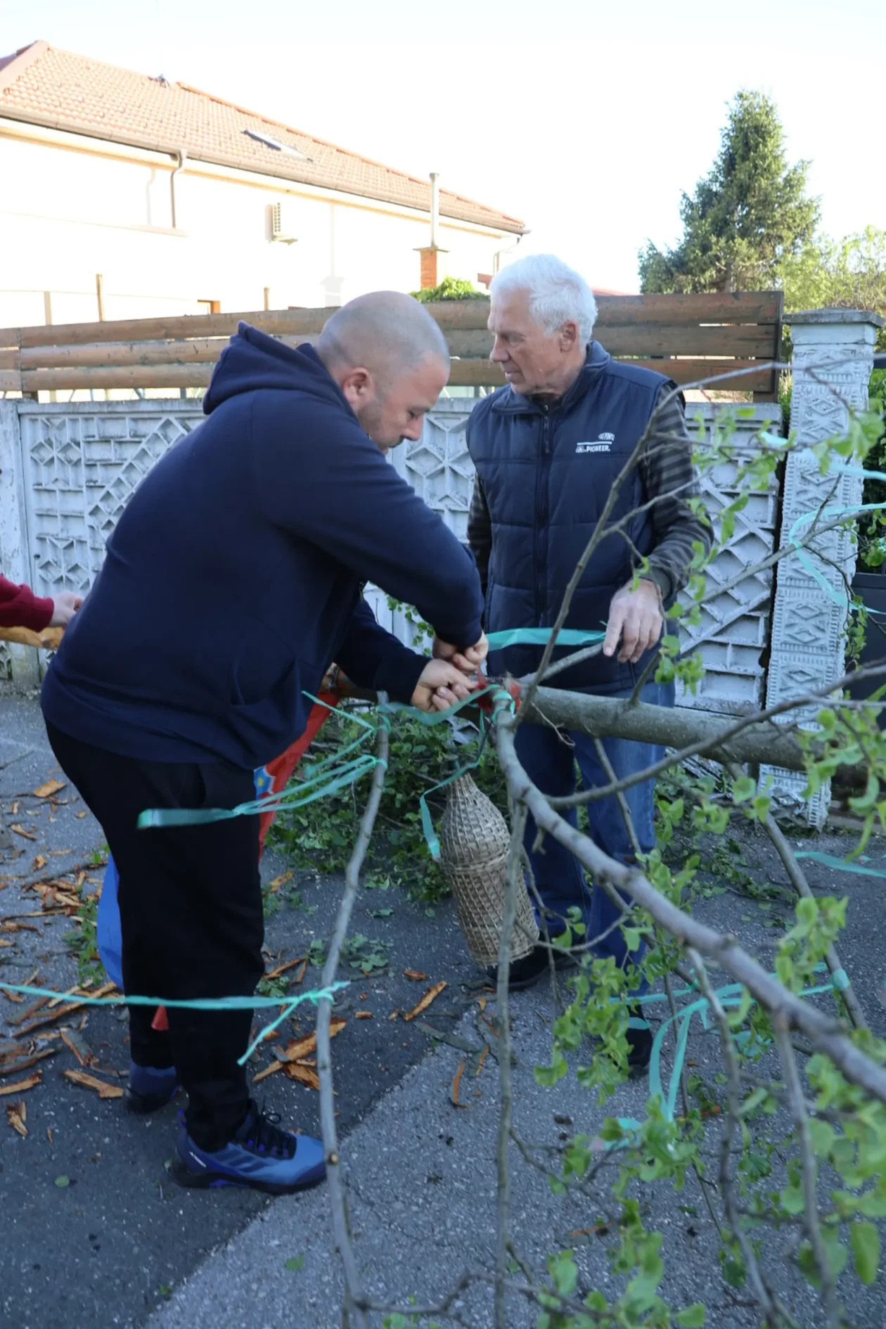 Hemuševec majga 2026 (27)