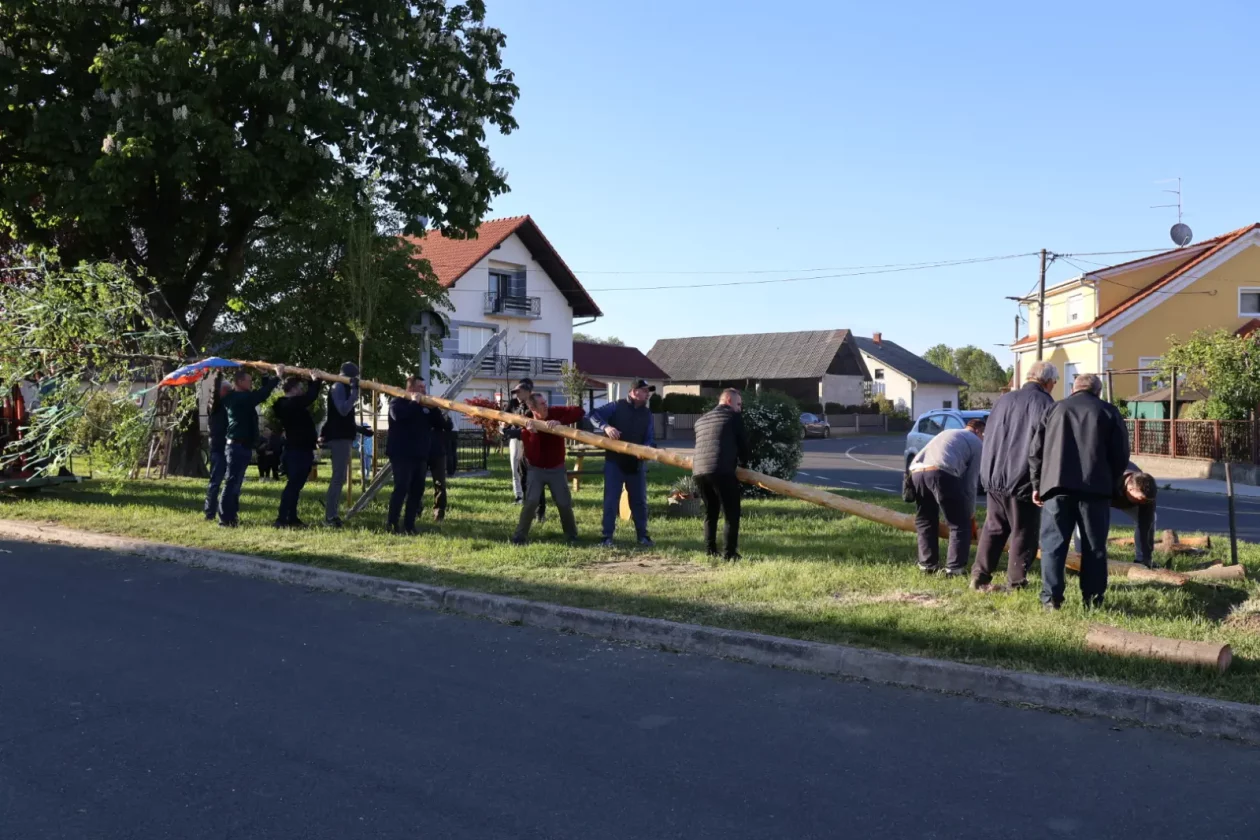 Hemuševec majga 2026 (28)