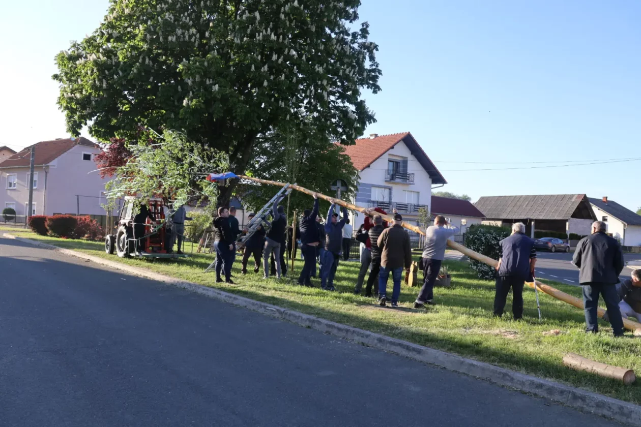 Hemuševec majga 2026 (30)