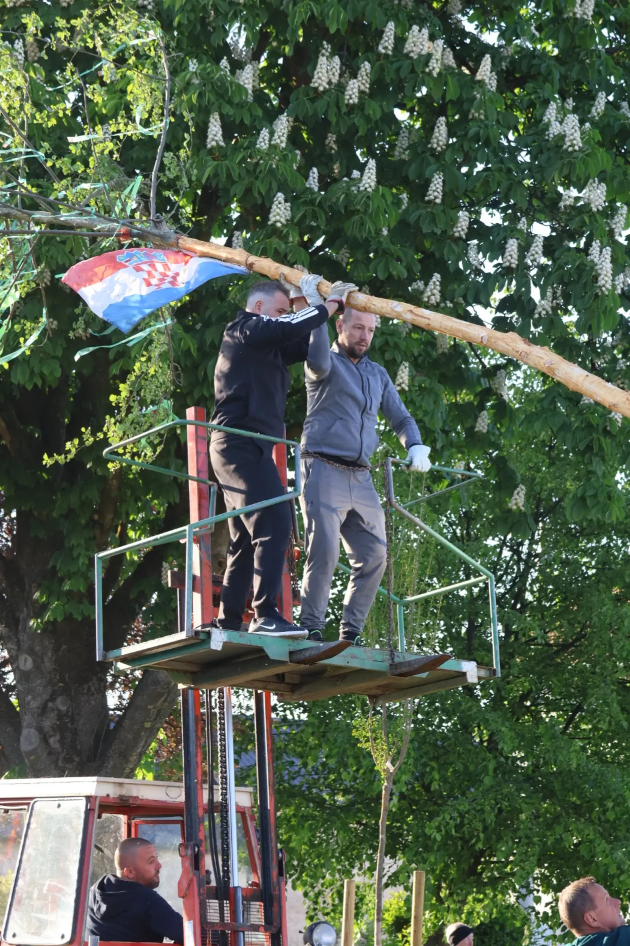 Hemuševec majga 2026 (31)