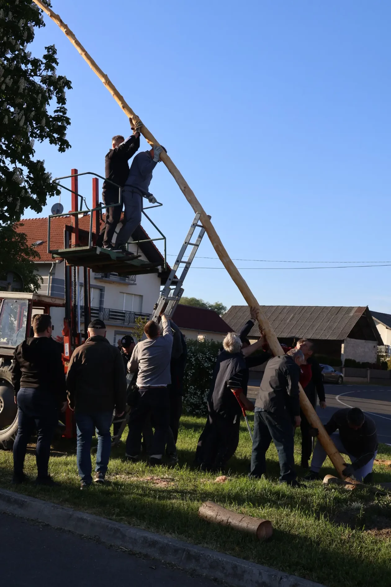 Hemuševec majga 2026 (33)