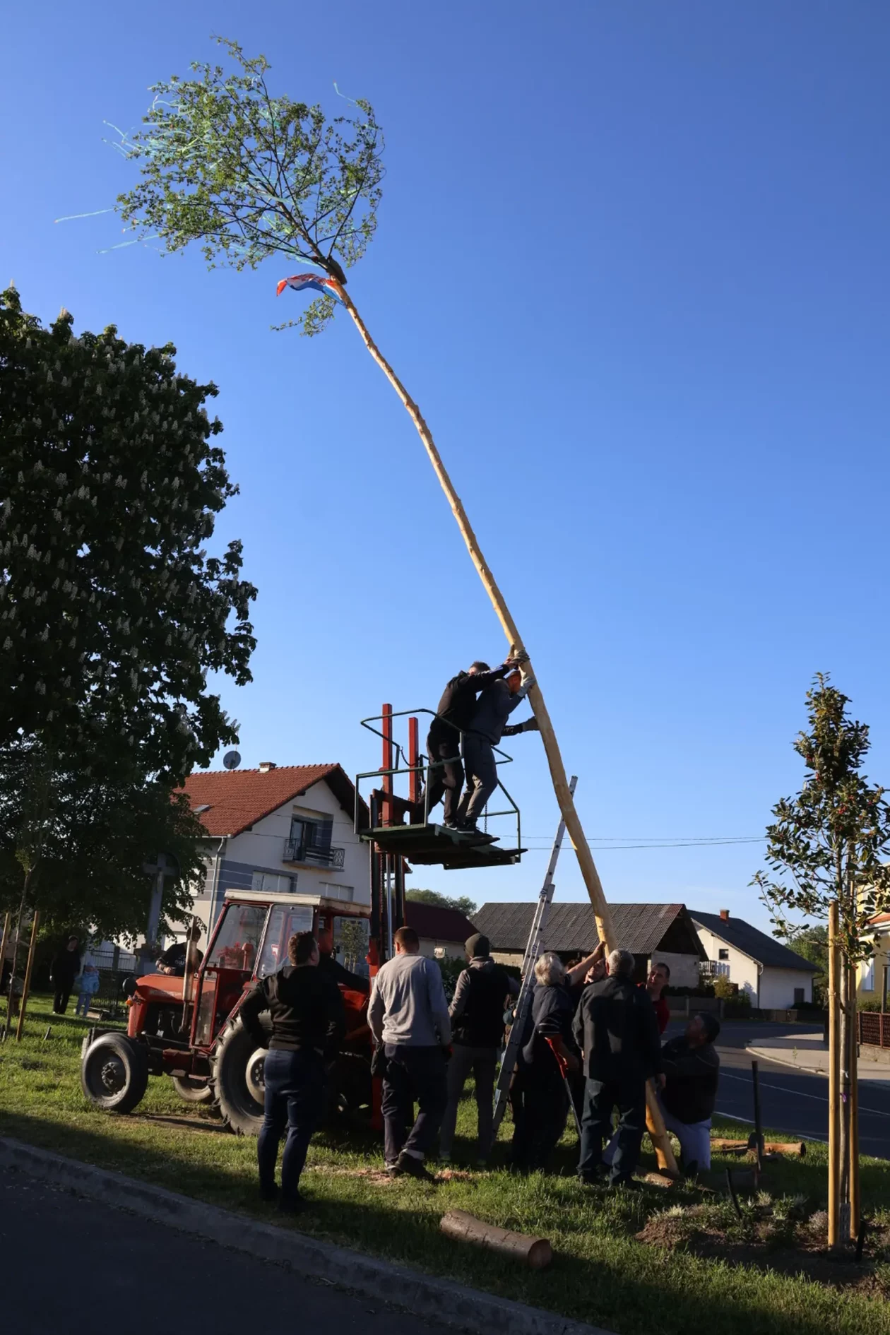 Hemuševec majga 2026 (36)
