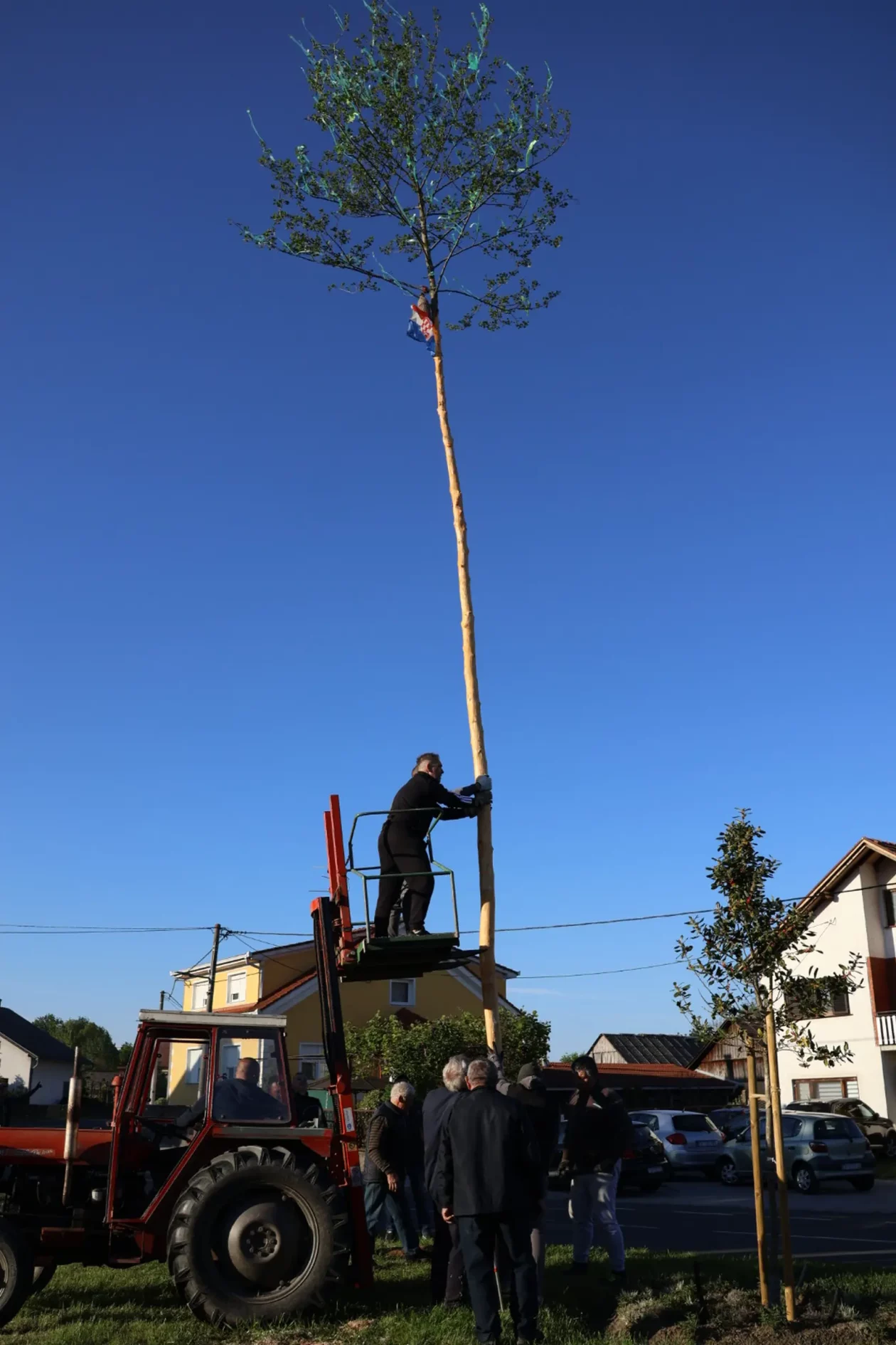 Hemuševec majga 2026 (39)