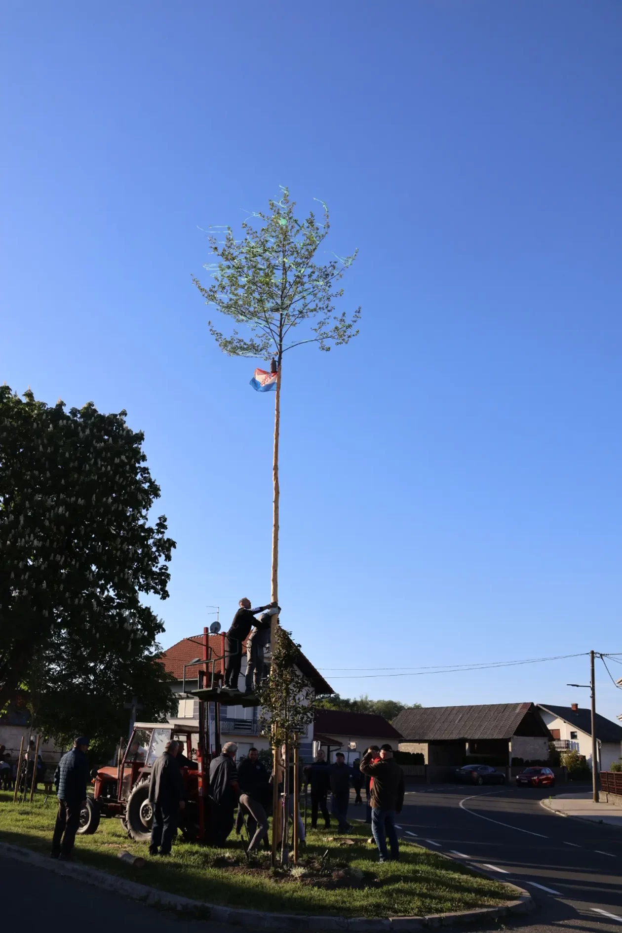 Hemuševec majga 2026 (42)