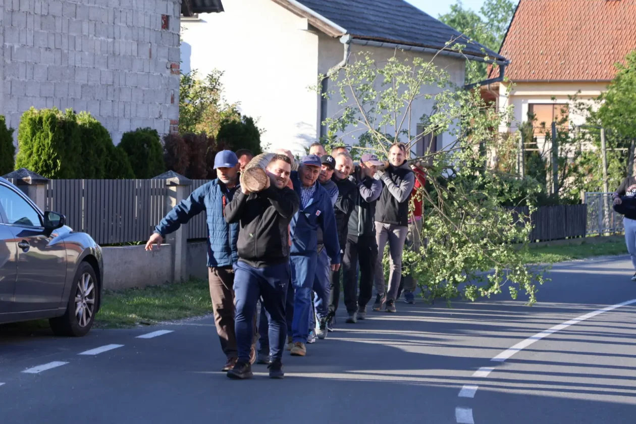 Hemuševec majga 2026 (8)