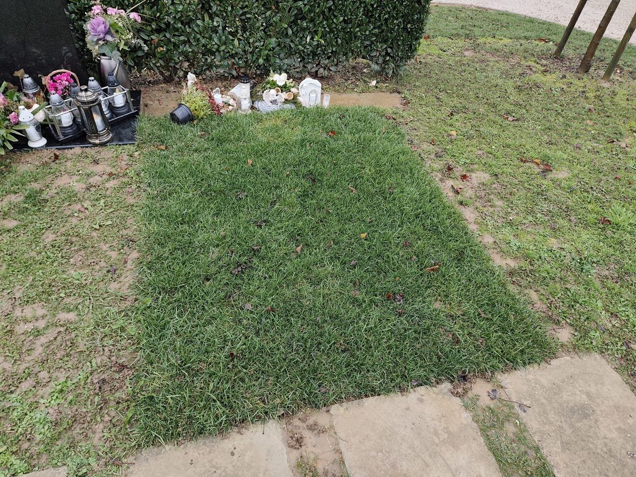 IGH MIH grob 1 IGH MIH grob 1