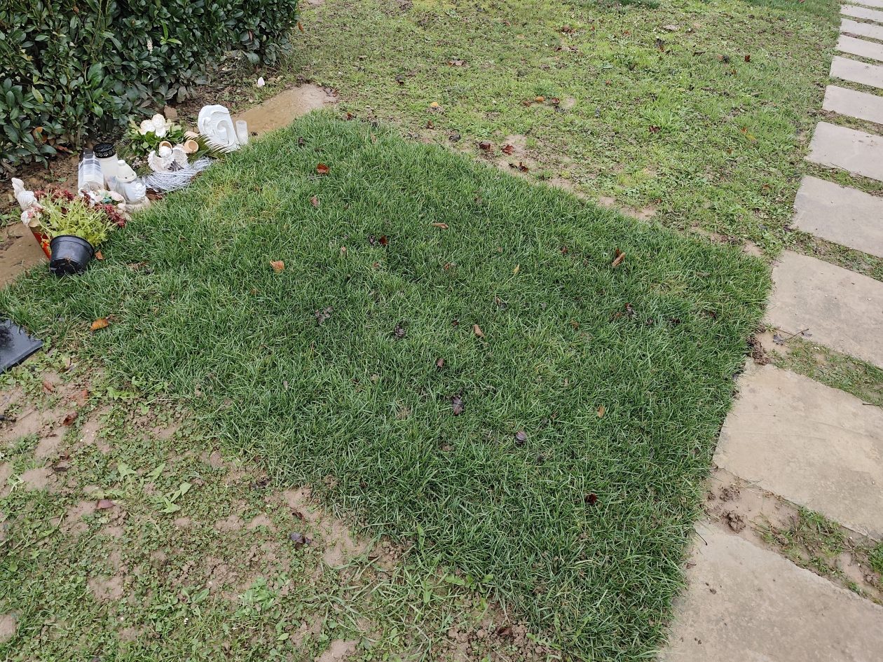 IGH MIH grob 2 IGH MIH grob 2