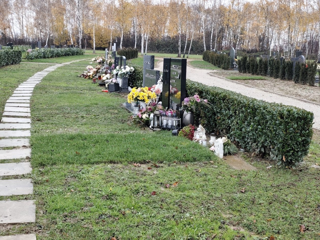 IGH MIH grob 4 IGH MIH grob 4