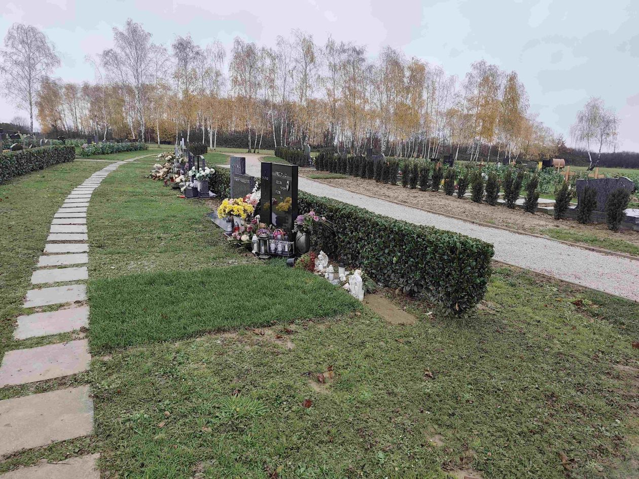 IGH MIH grob 5 IGH MIH grob 5