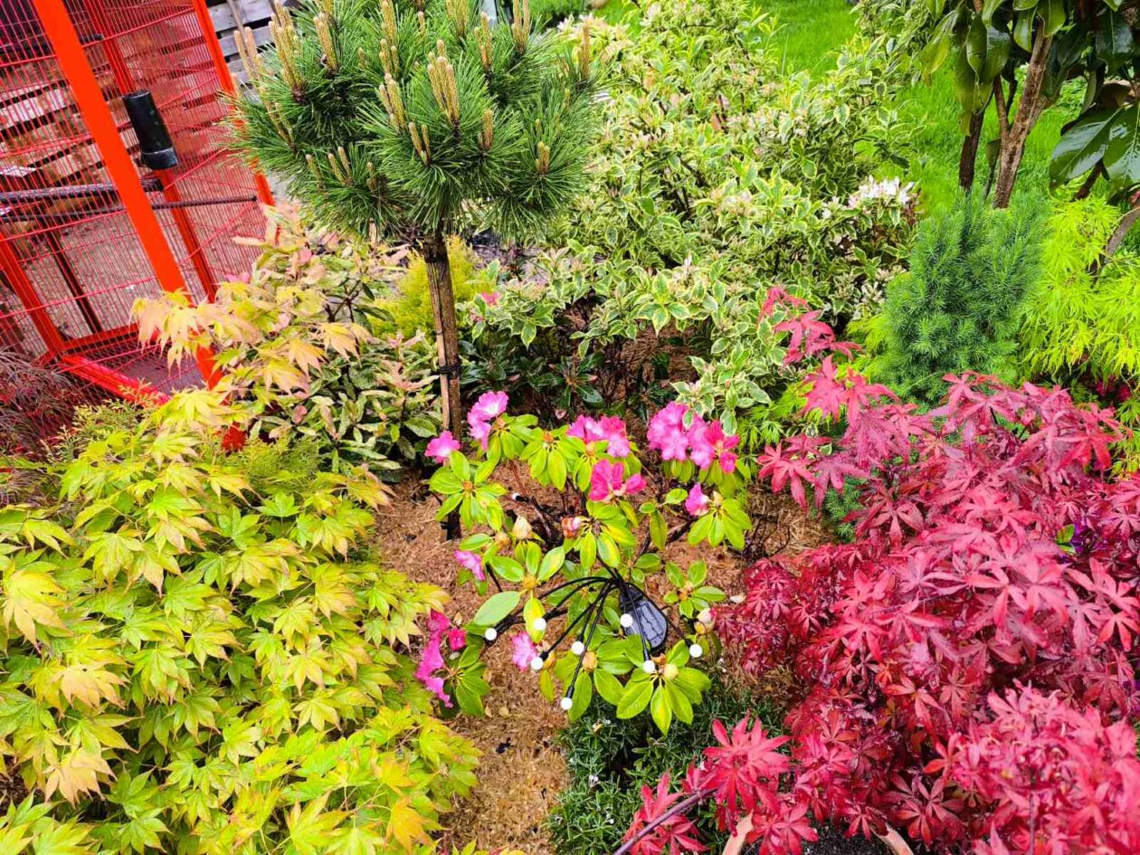 IMG-02a4e038e9275e4e04996d5c75a7d70c-V