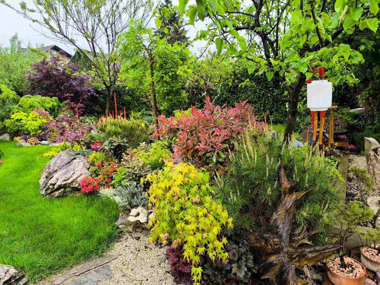 IMG-033ecac3b0ae14a51484afc3a3eb6aef-V