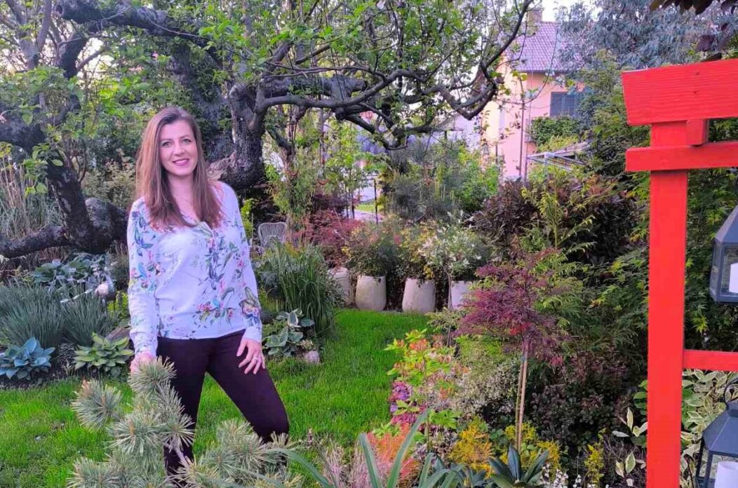 IMG-0d931b3d7664bc0c58becaaf9c1696a2-V 22