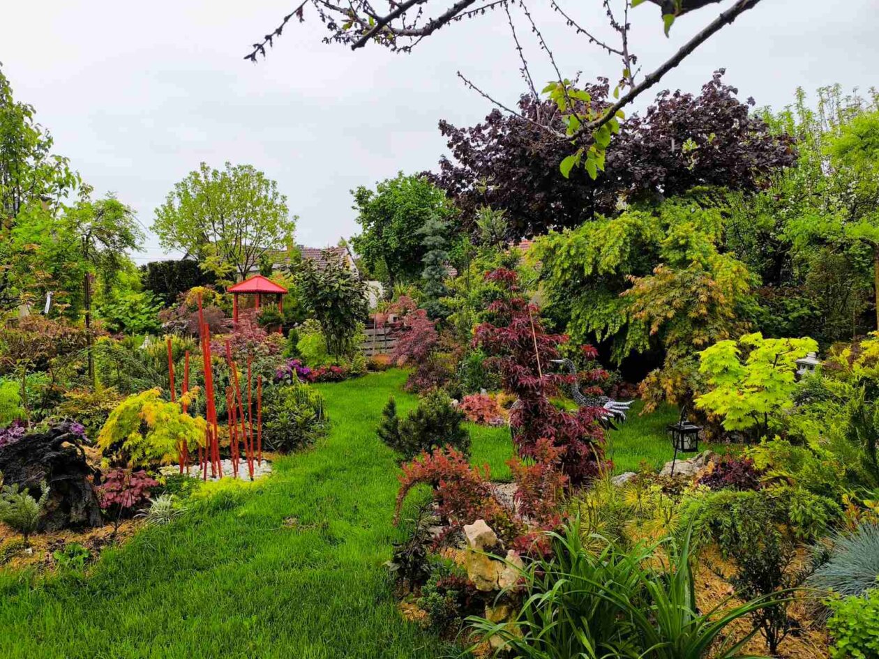 IMG-1239b9c3dafa415456d5b8b943d33d46-V