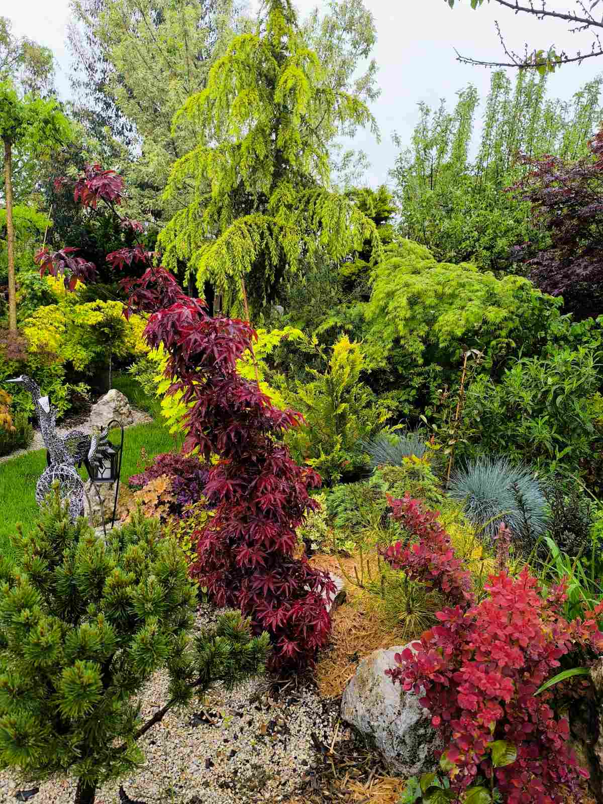 IMG-140453bbcc0c473d23c6ef0278df87dc-V