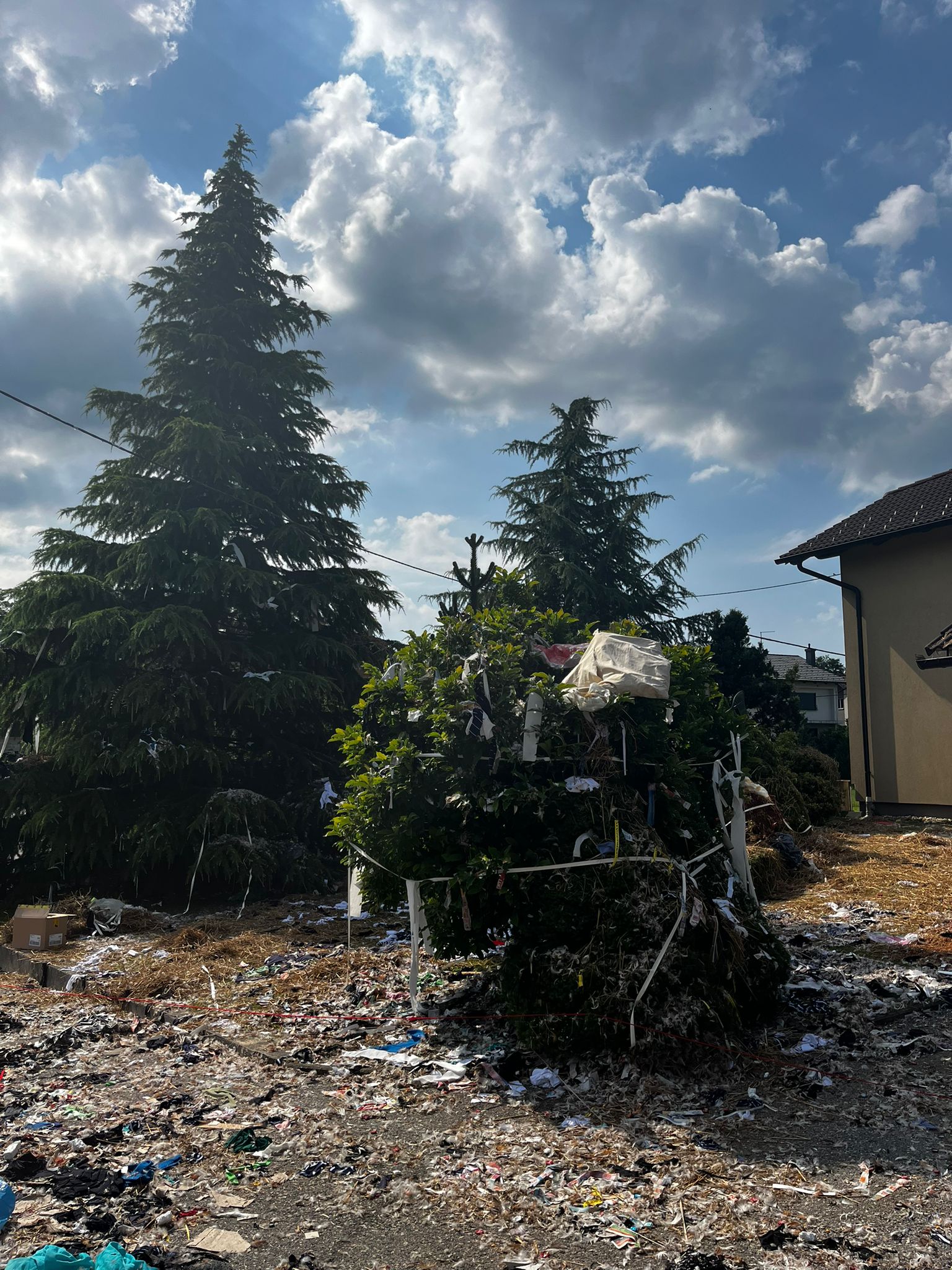 IMG-20240608-WA0004.jpg IMG-20240608-WA0004.jpg