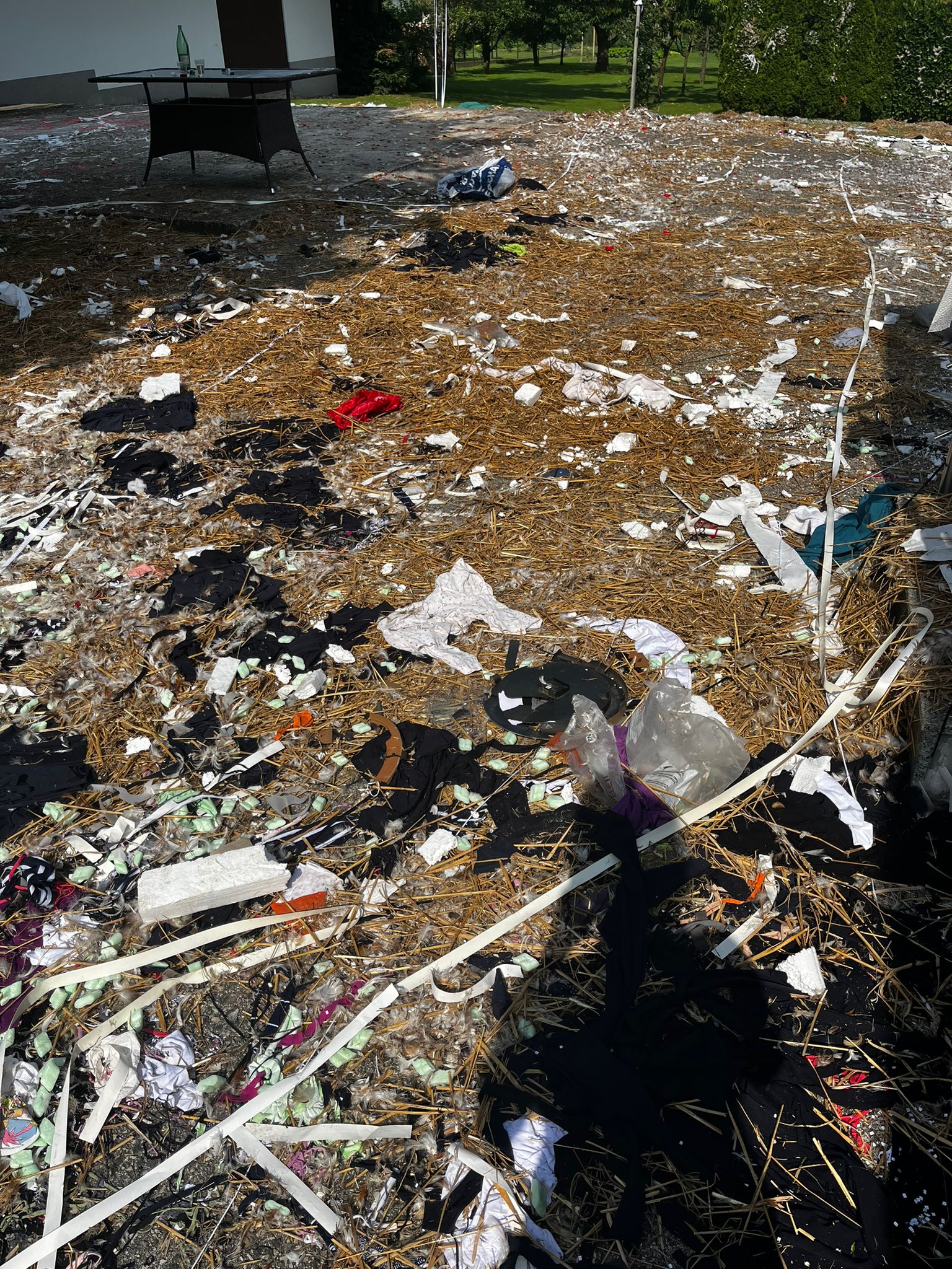 IMG-20240608-WA0005.jpg IMG-20240608-WA0005.jpg